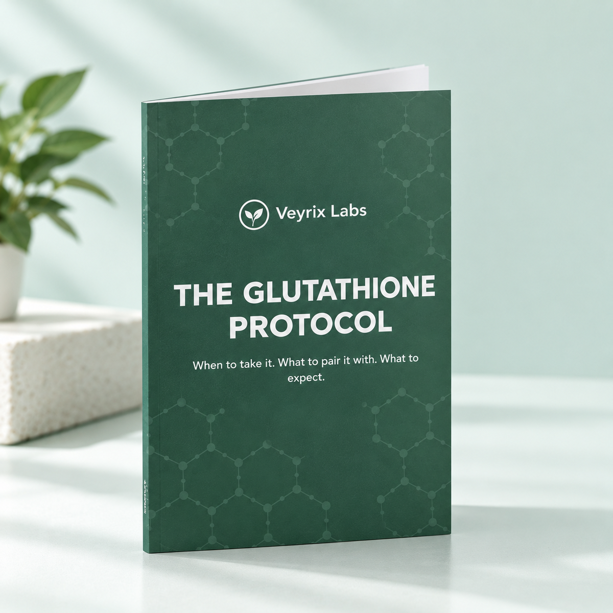 The Glutathione Protocol